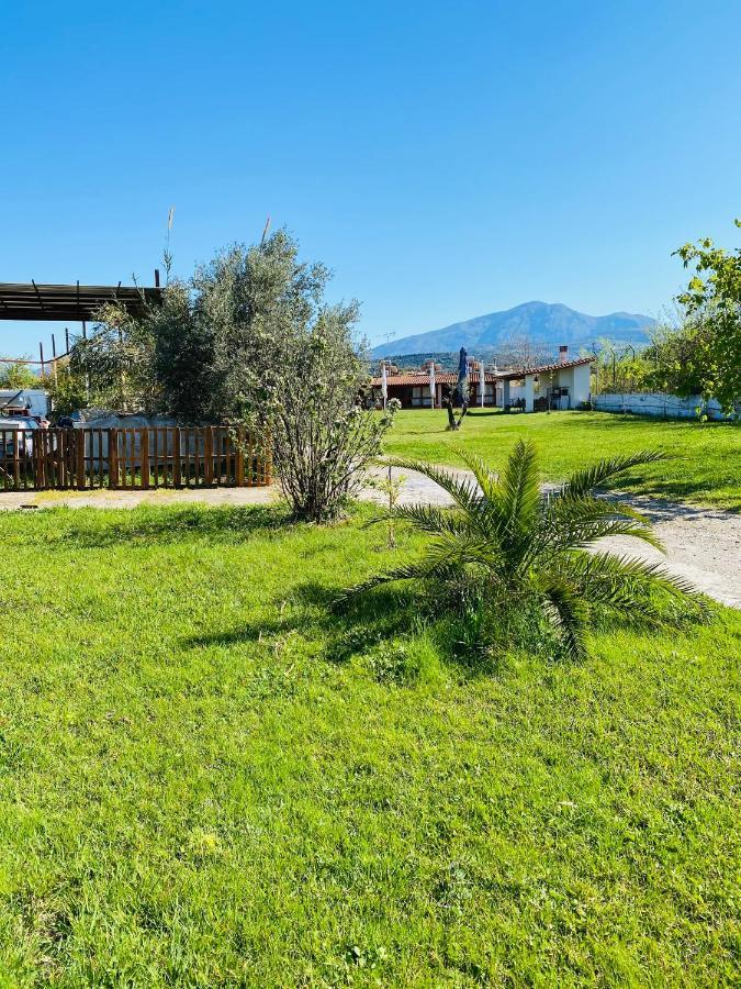 Village Dimopoulos Rodhodháfni Extérieur photo